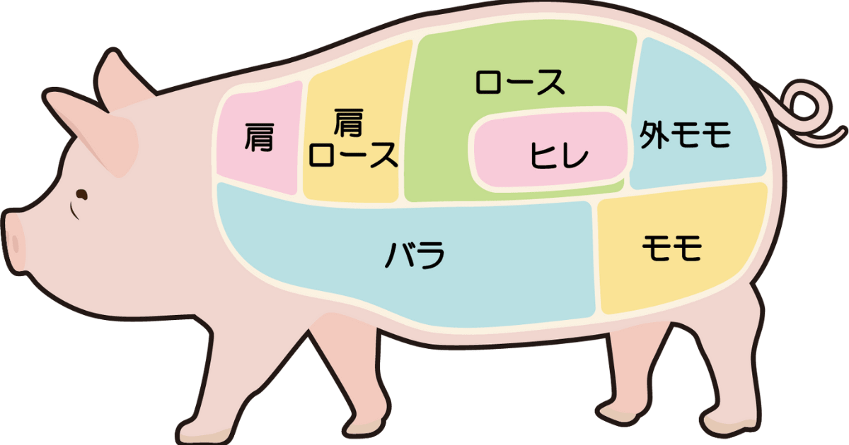 豚の部位を色分けして説明したイラスト
