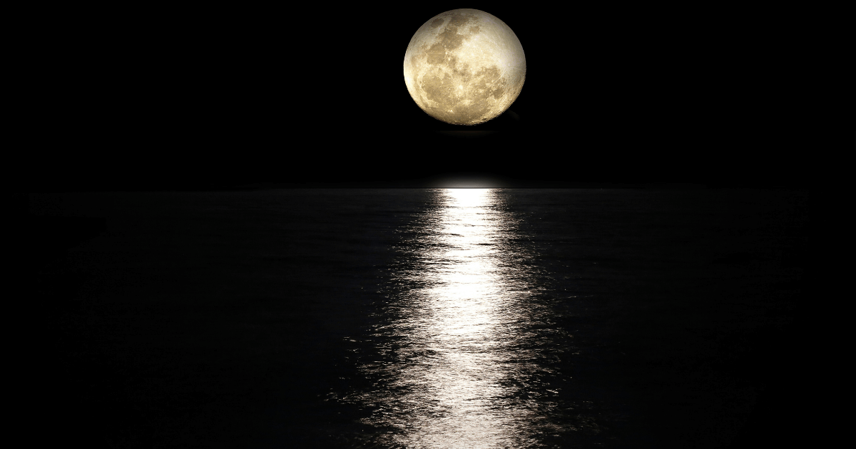 夜の海の水平線の先に月が上がっている